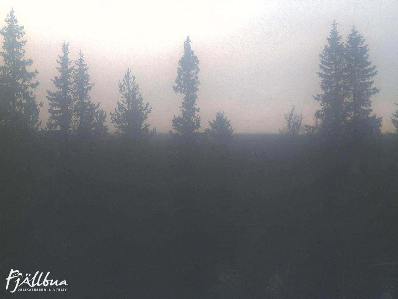 Fjällbua webcam 2024-10-19 09:30