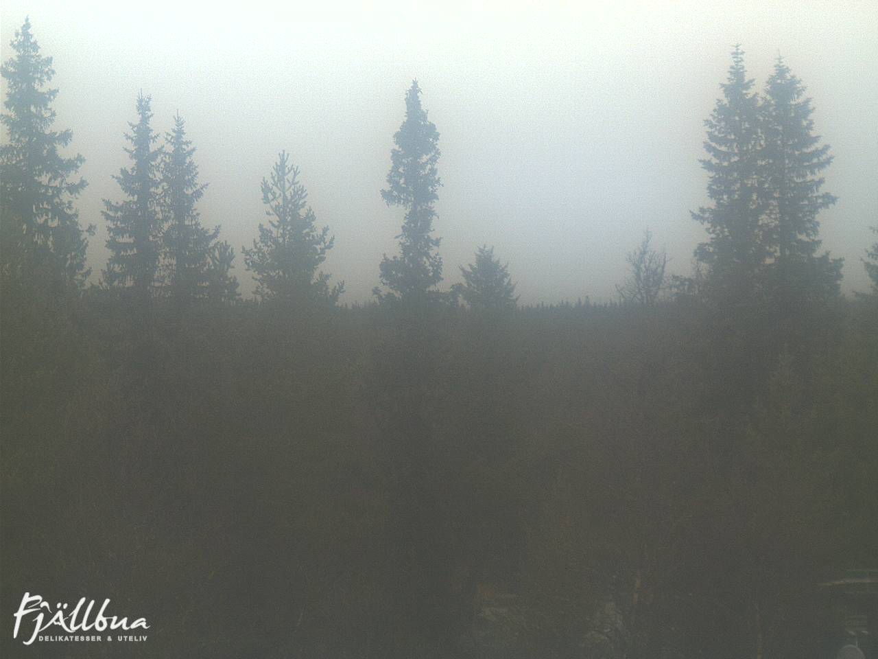 Fjällbua webcam 2024-10-19 10:00