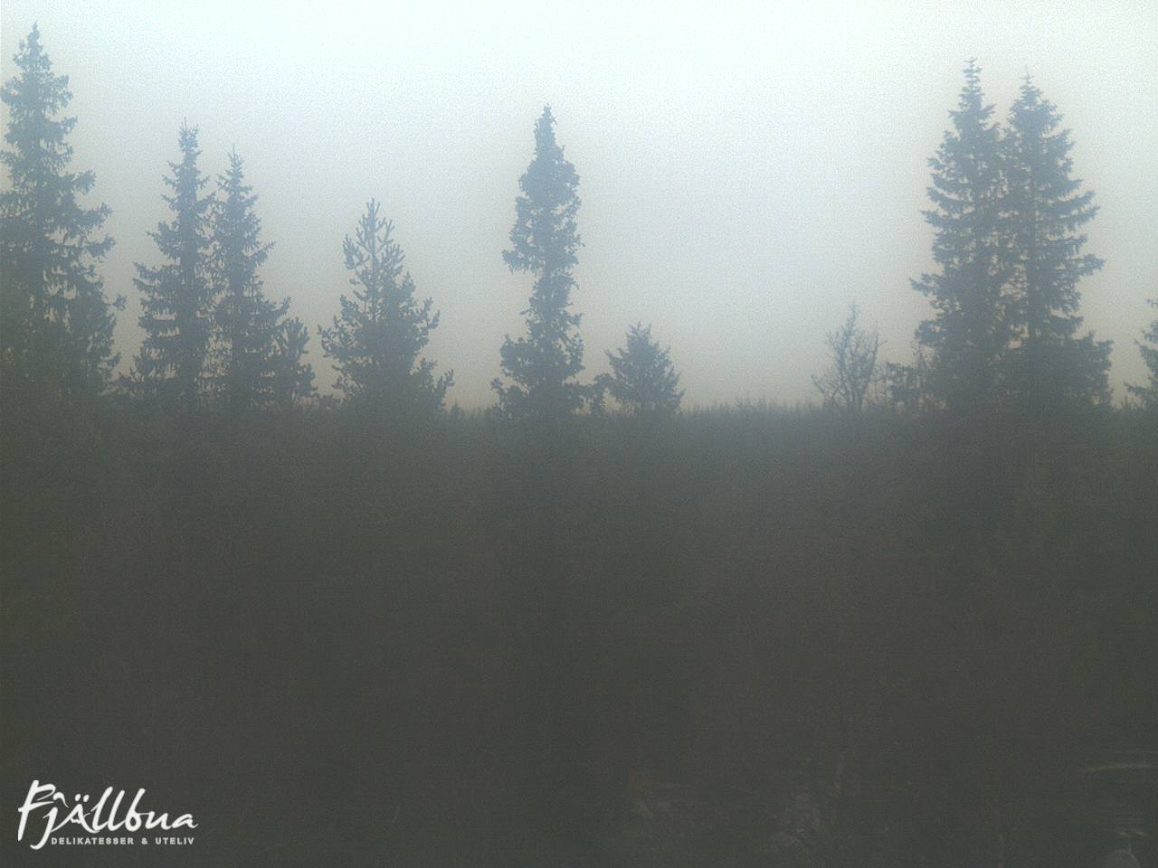 Fjällbua webcam 2024-10-19 11:00