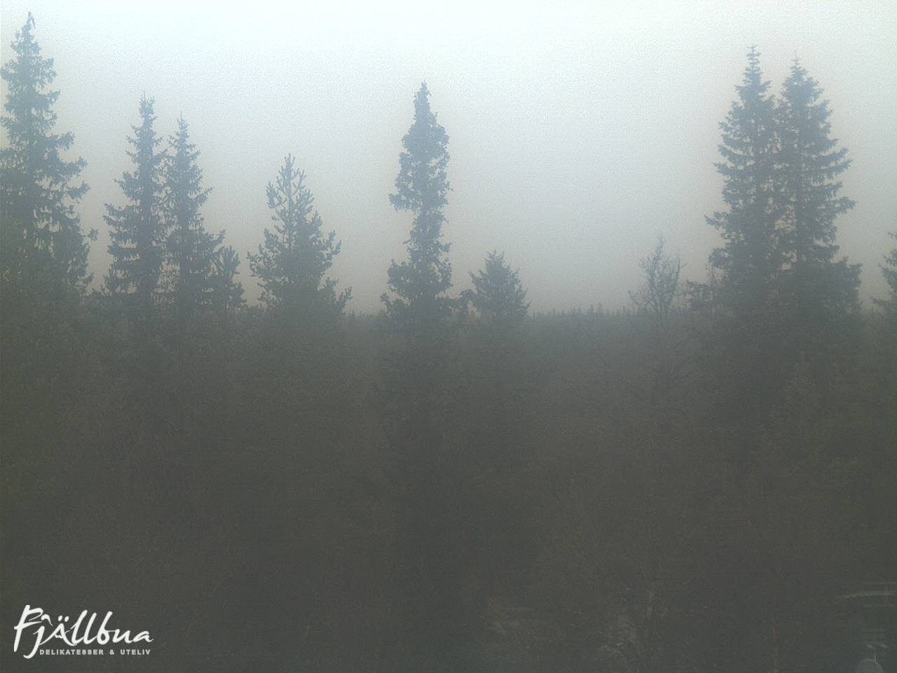 Fjällbua webcam 2024-10-19 11:30