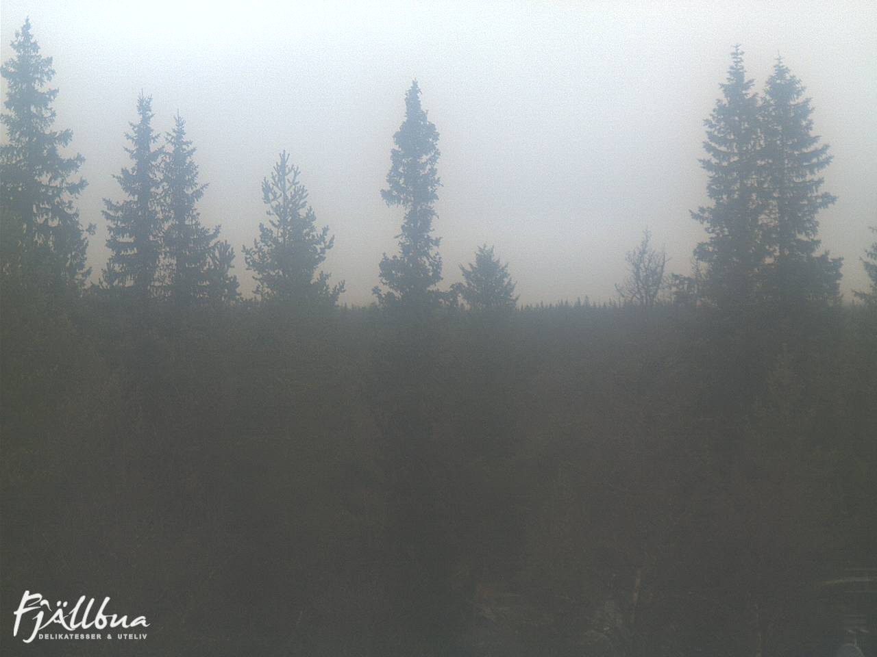 Fjällbua webcam 2024-10-19 14:00