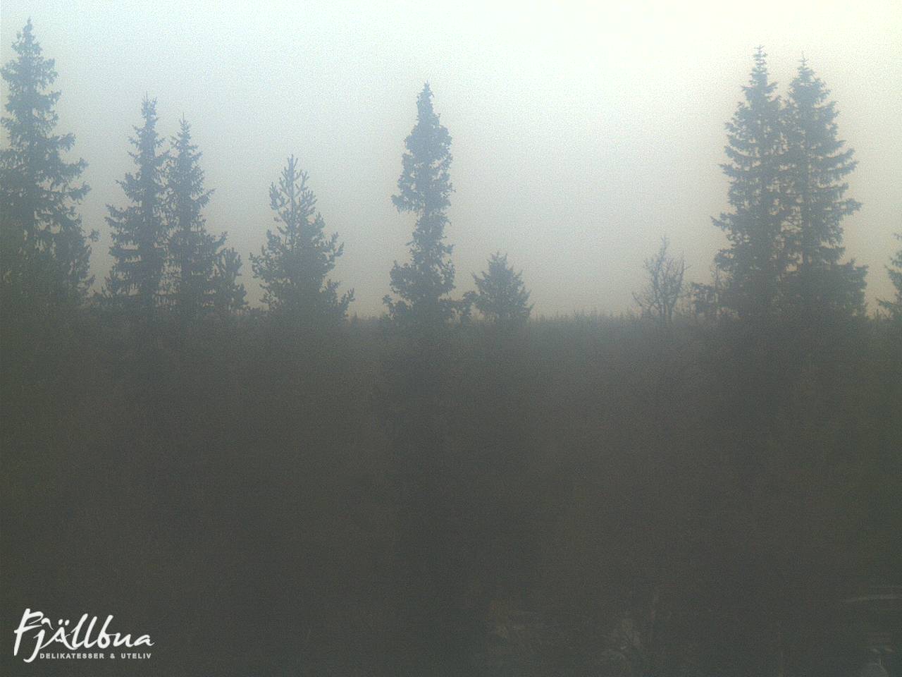 Fjällbua webcam 2024-10-19 14:30