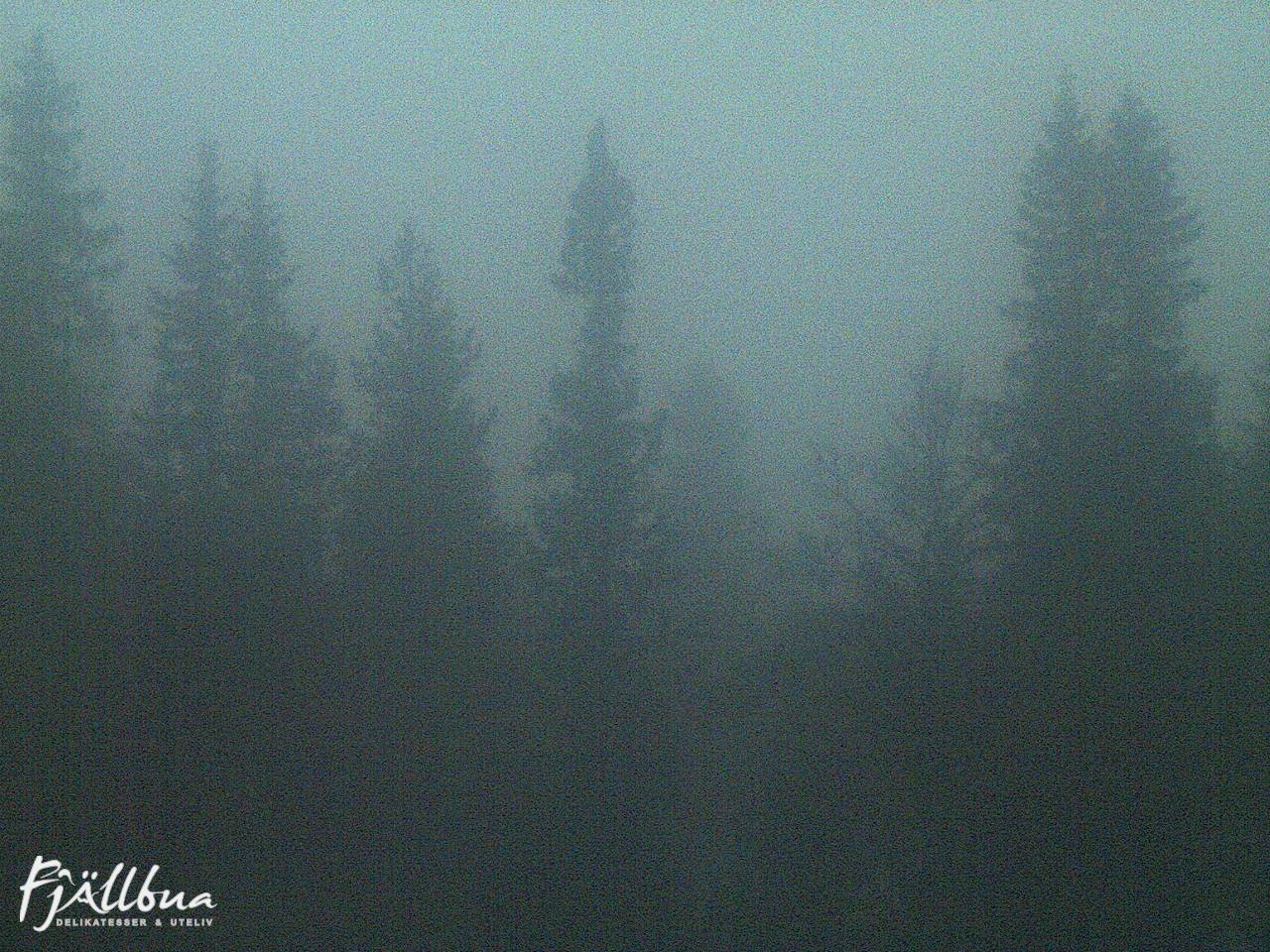 Fjällbua webcam 2024-10-19 18:00