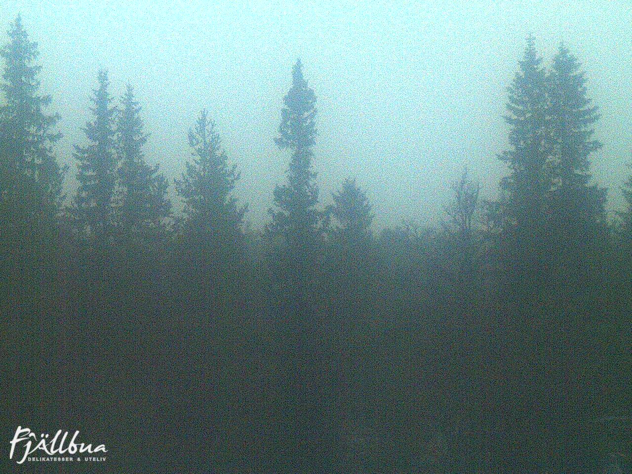 Fjällbua webcam 2024-10-20 08:00