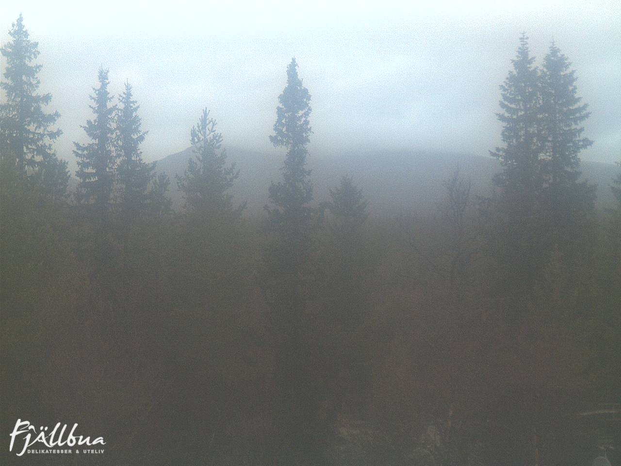 Fjällbua webcam 2024-10-21 09:00