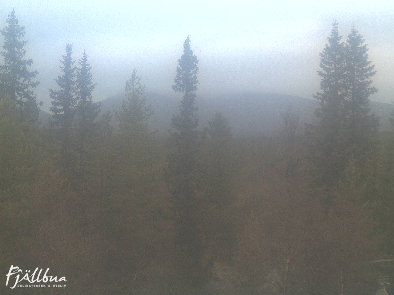 Fjällbua webcam 2024-10-21 09:30