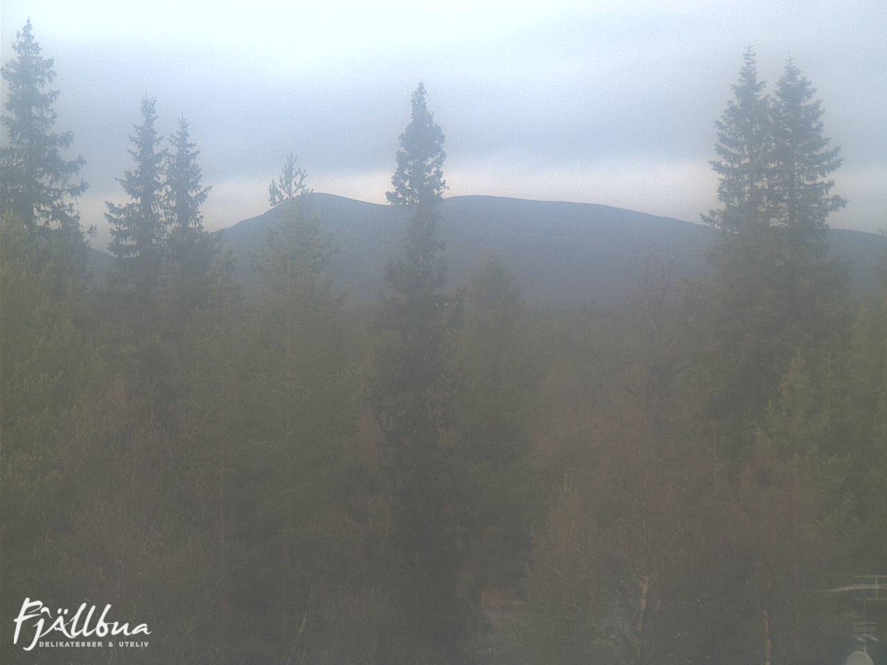 Fjällbua webcam 2024-10-21 12:30