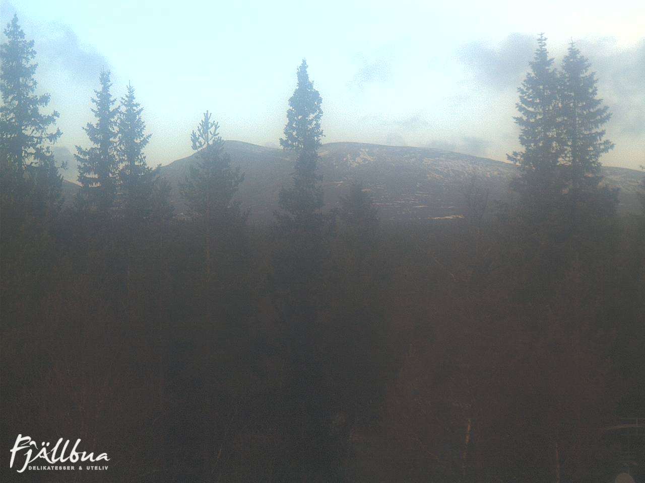 Fjällbua webcam 2024-11-14 11:30