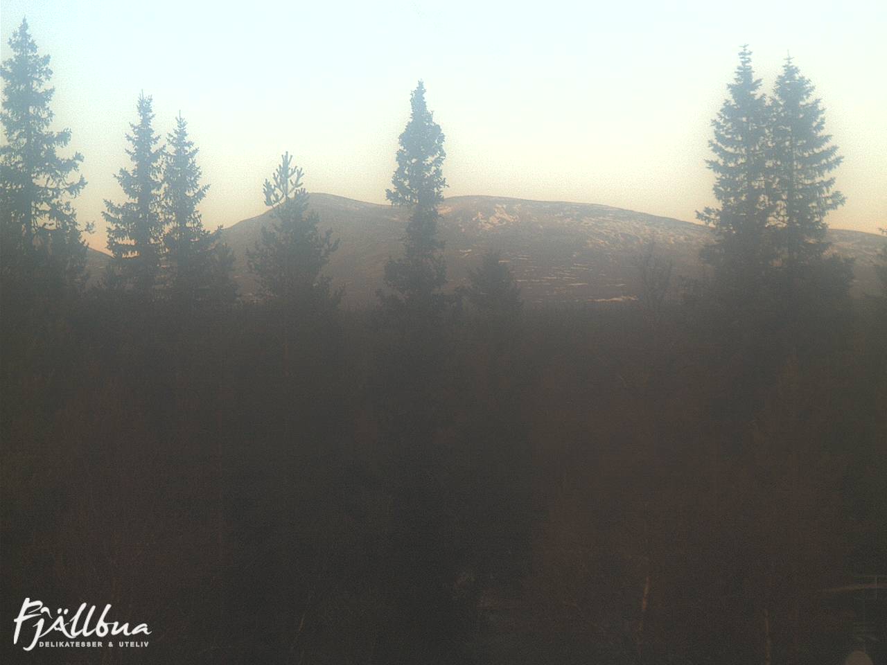 Fjällbua webcam 2024-11-14 12:00