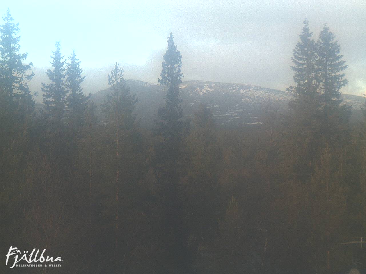 Fjällbua webcam 2024-11-14 13:00