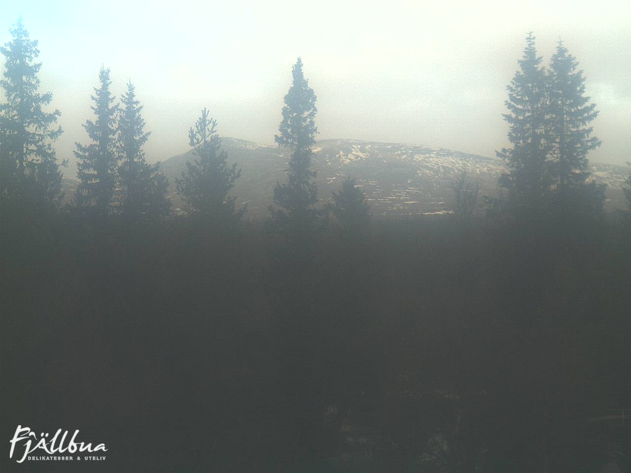 Fjällbua webcam 2024-11-14 13:30