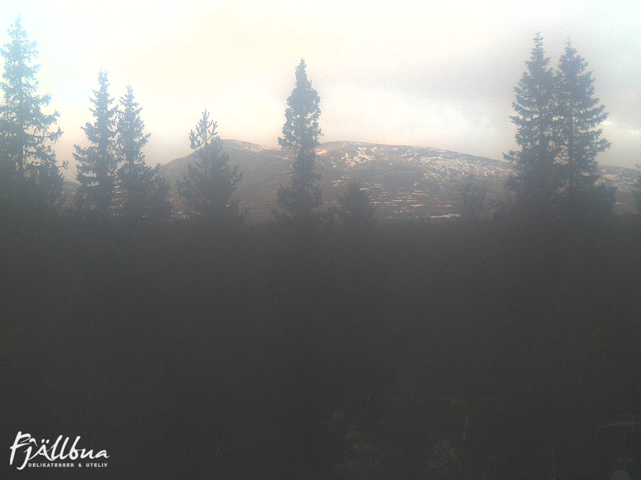 Fjällbua webcam 2024-11-14 14:30