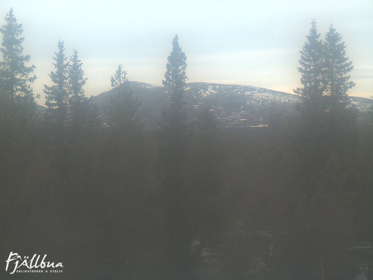 Fjällbua webcam 2024-11-15 11:00