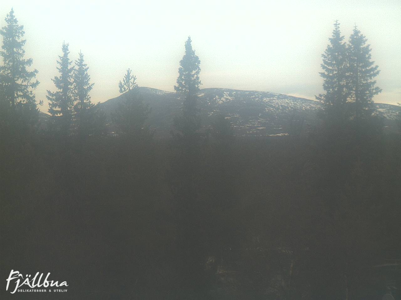 Fjällbua webcam 2024-11-15 11:30