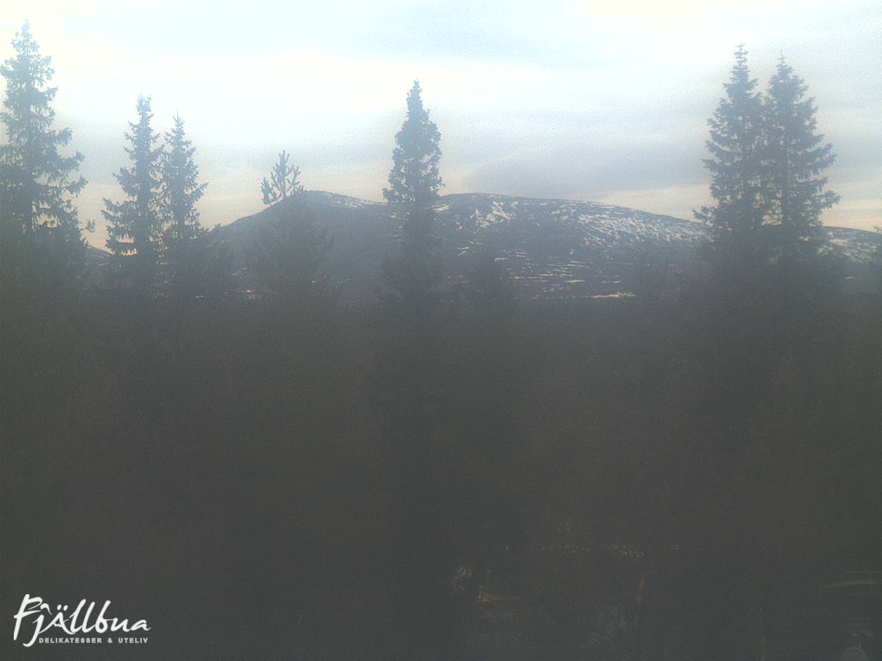 Fjällbua webcam 2024-11-15 13:30