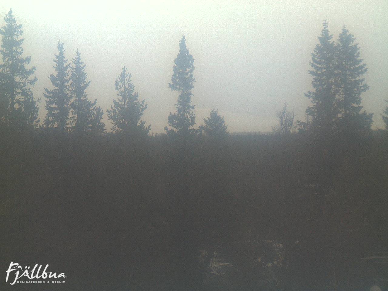 Fjällbua webcam 2024-11-17 15:30