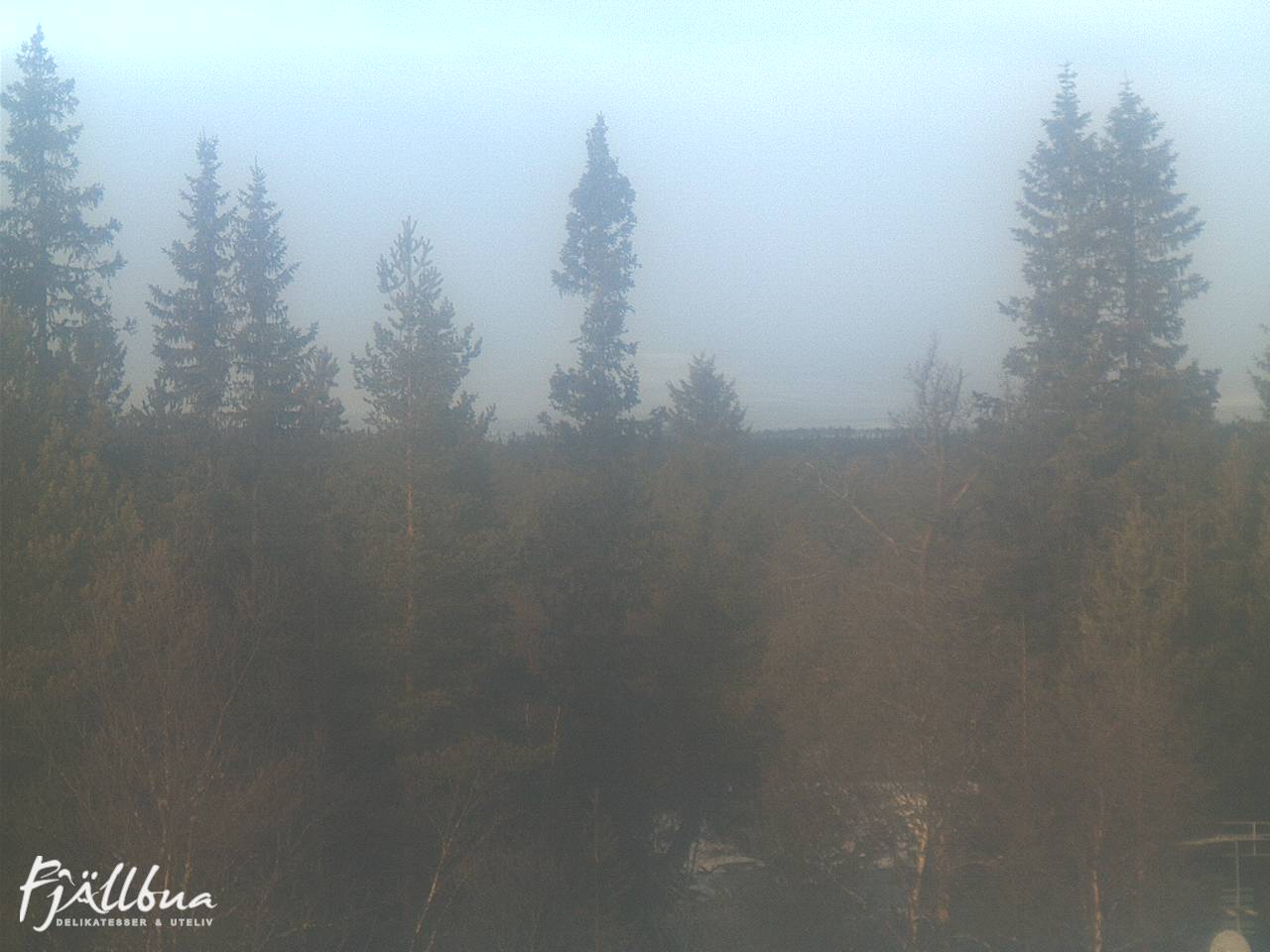 Fjällbua webcam 2024-11-18 11:00