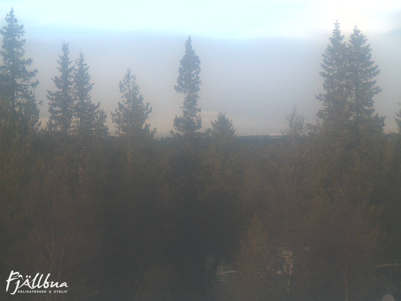 Fjällbua webcam 2024-11-18 11:30