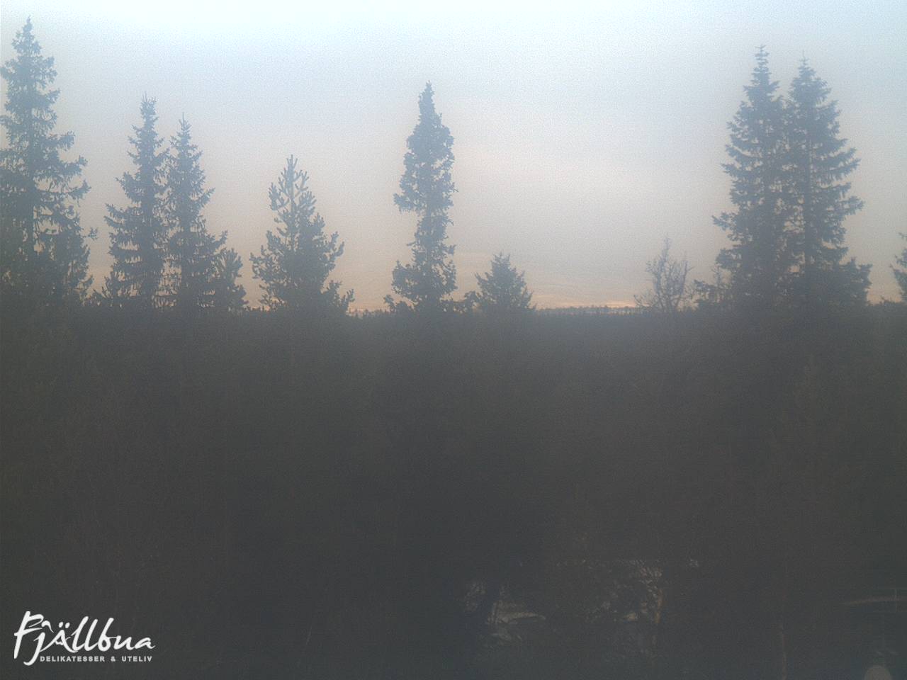 Fjällbua webcam 2024-11-18 12:00