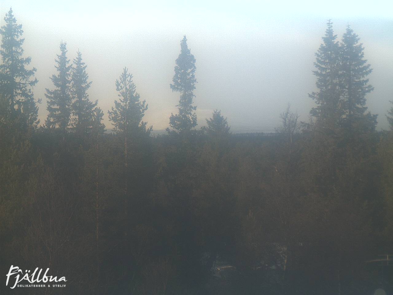 Fjällbua webcam 2024-11-18 12:30