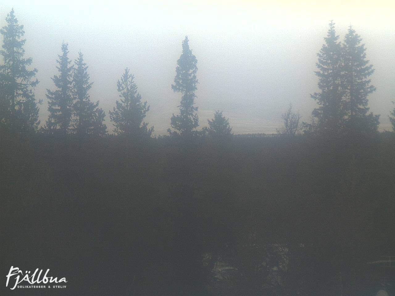 Fjällbua webcam 2024-11-18 14:00