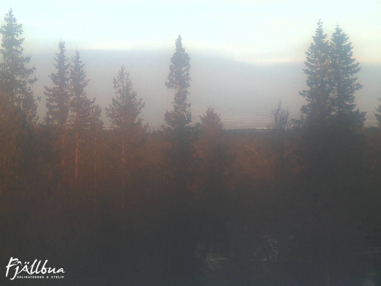 Fjällbua webcam 2024-11-19 09:00