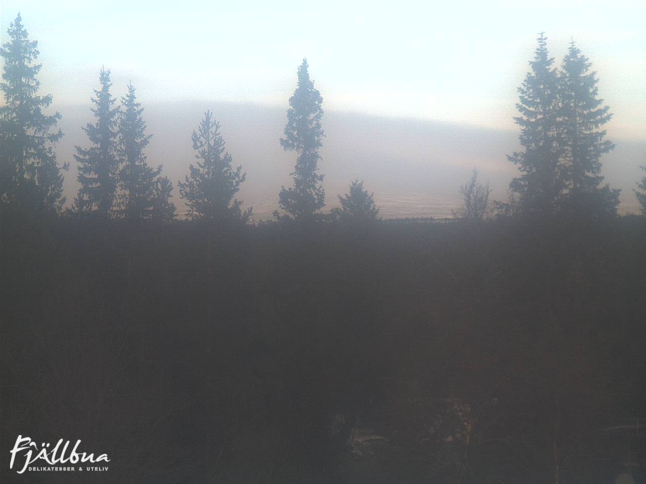 Fjällbua webcam 2024-11-19 09:30