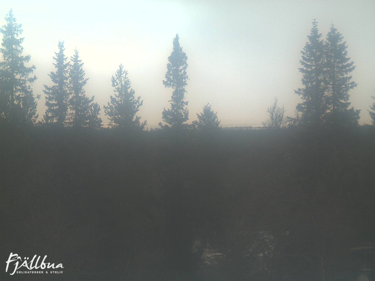 Fjällbua webcam 2024-11-19 10:00