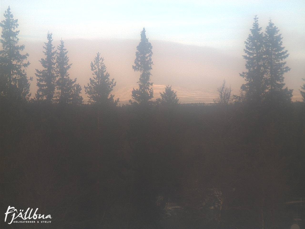 Fjällbua webcam 2024-11-19 10:30