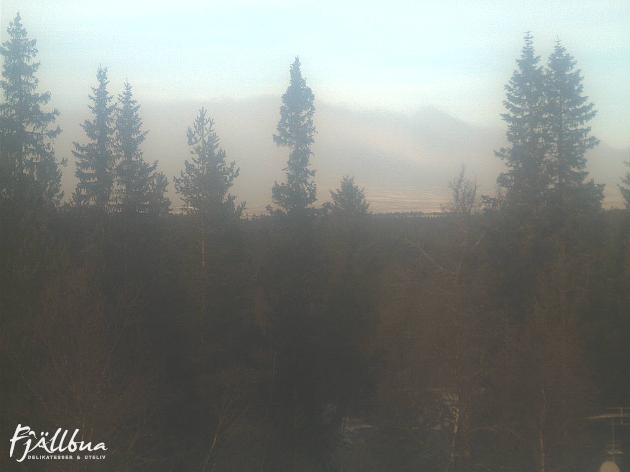 Fjällbua webcam 2024-11-19 11:00