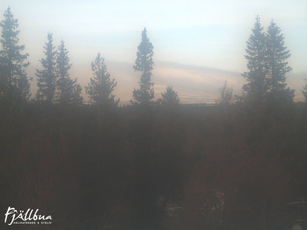 Fjällbua webcam 2024-11-19 11:30