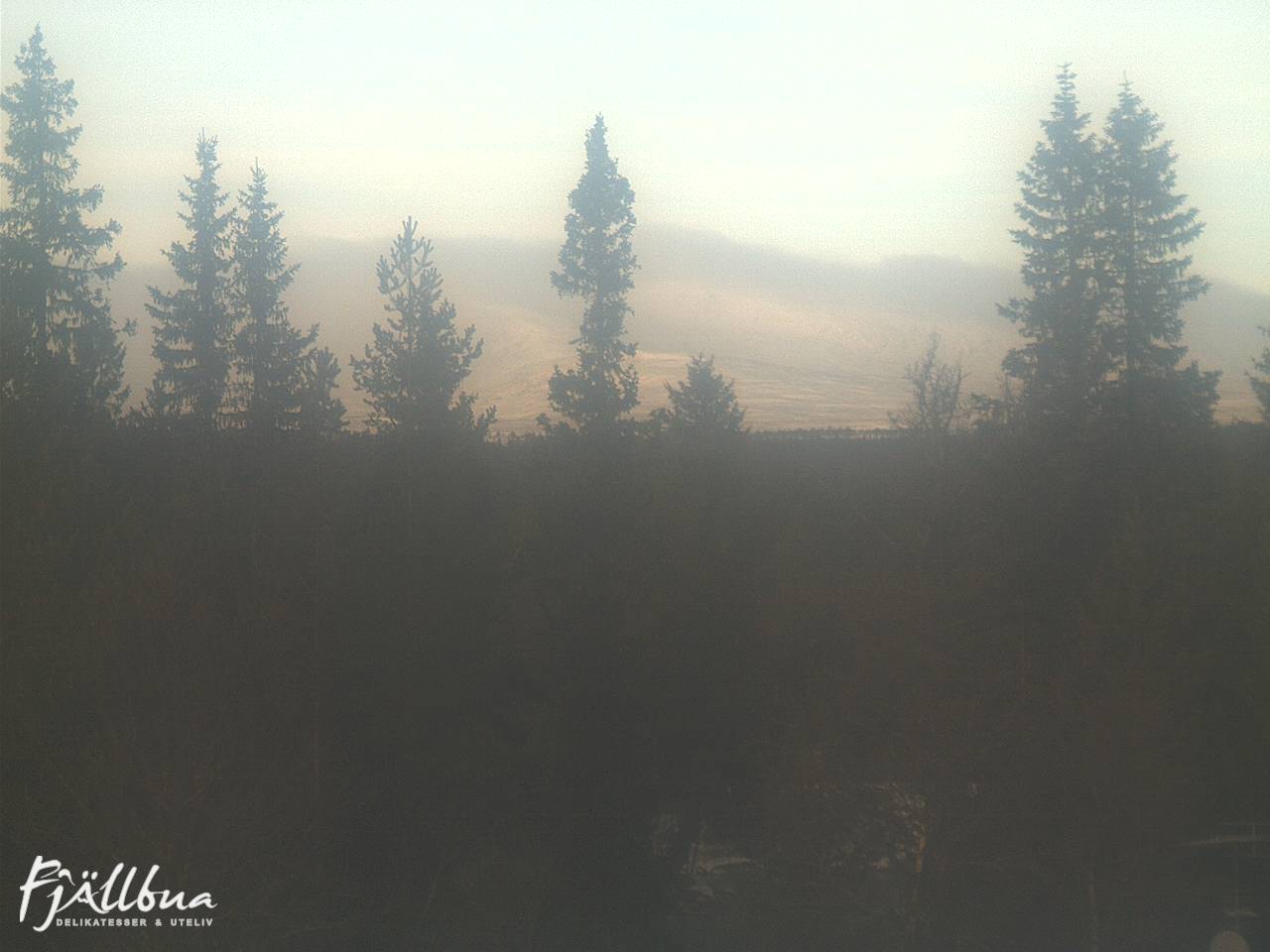 Fjällbua webcam 2024-11-19 12:00