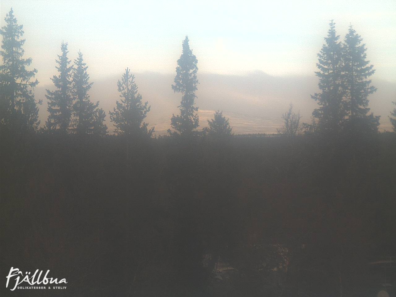 Fjällbua webcam 2024-11-19 12:30