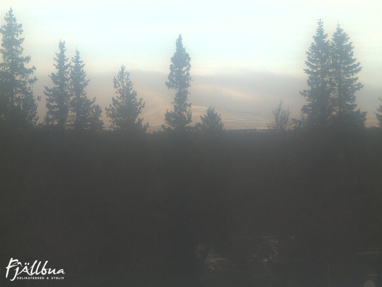 Fjällbua webcam 2024-11-19 13:00