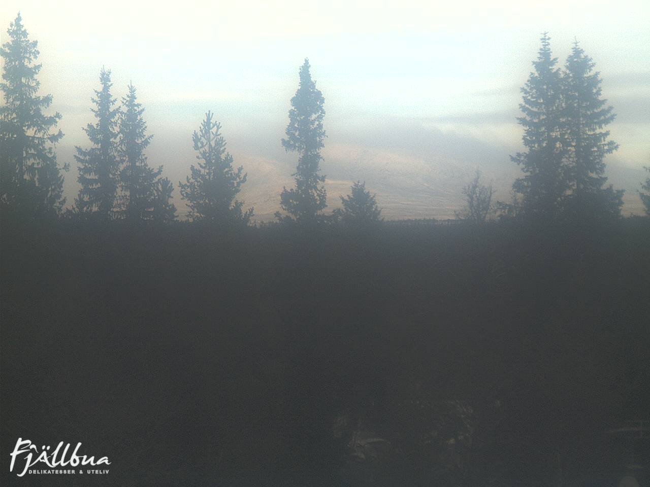 Fjällbua webcam 2024-11-19 13:30