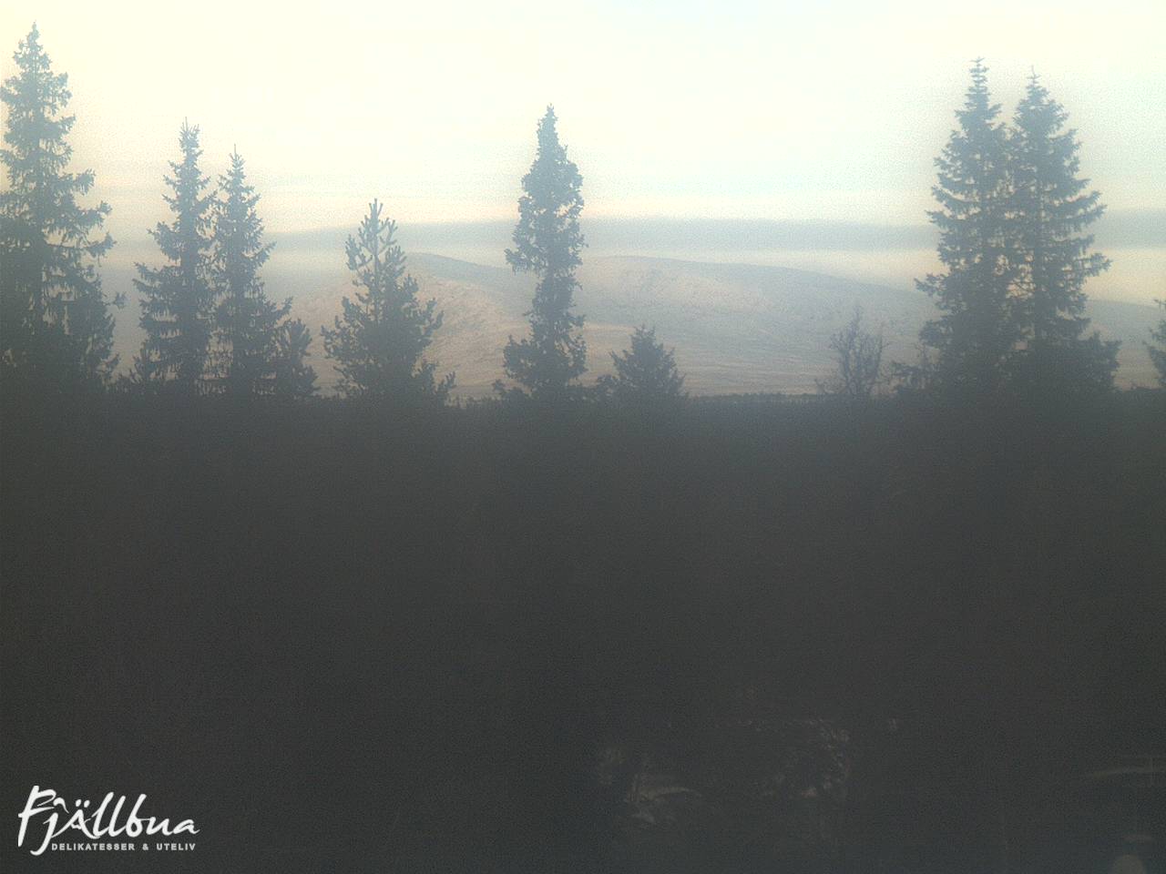 Fjällbua webcam 2024-11-19 14:00