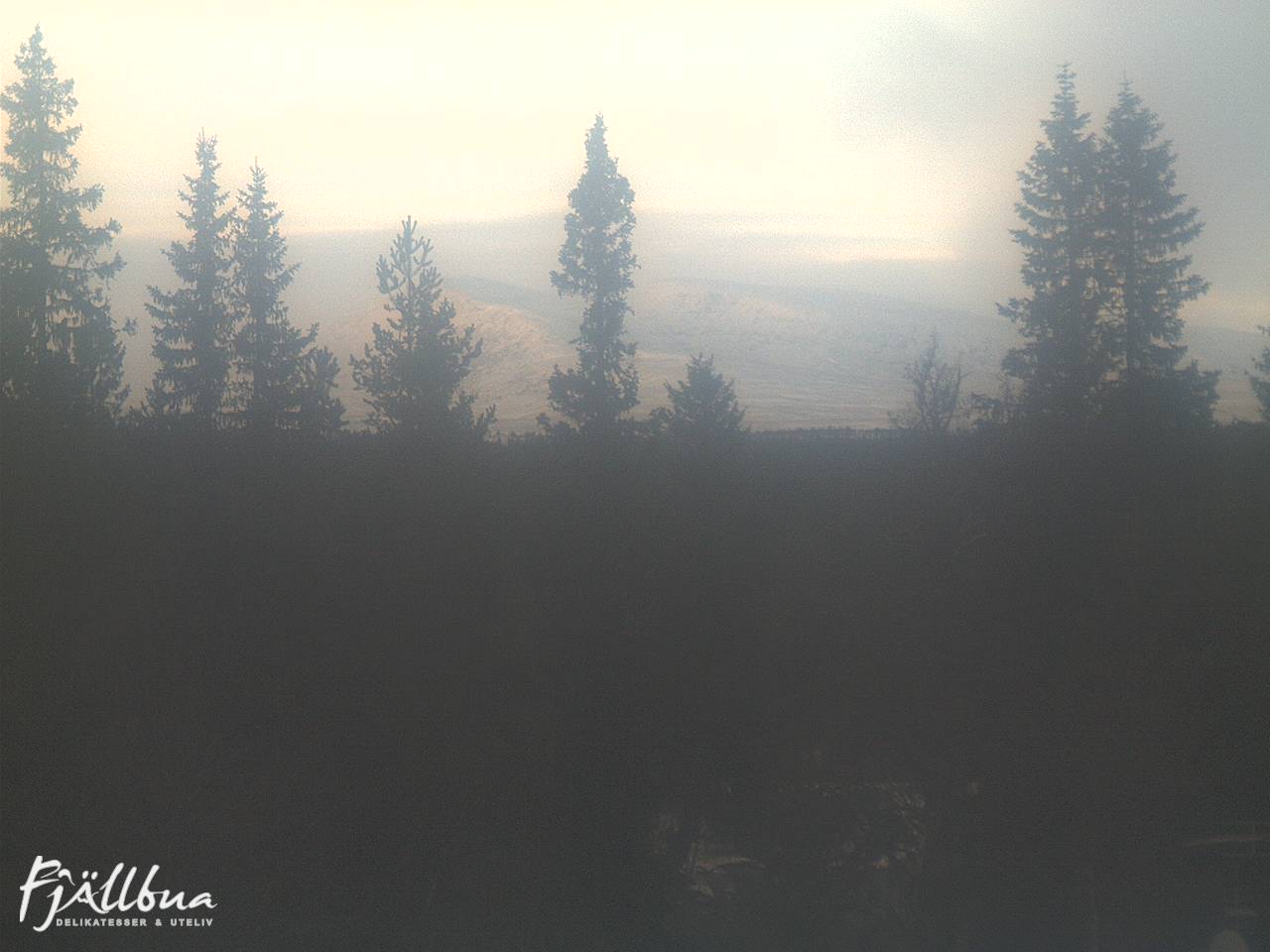 Fjällbua webcam 2024-11-19 14:30