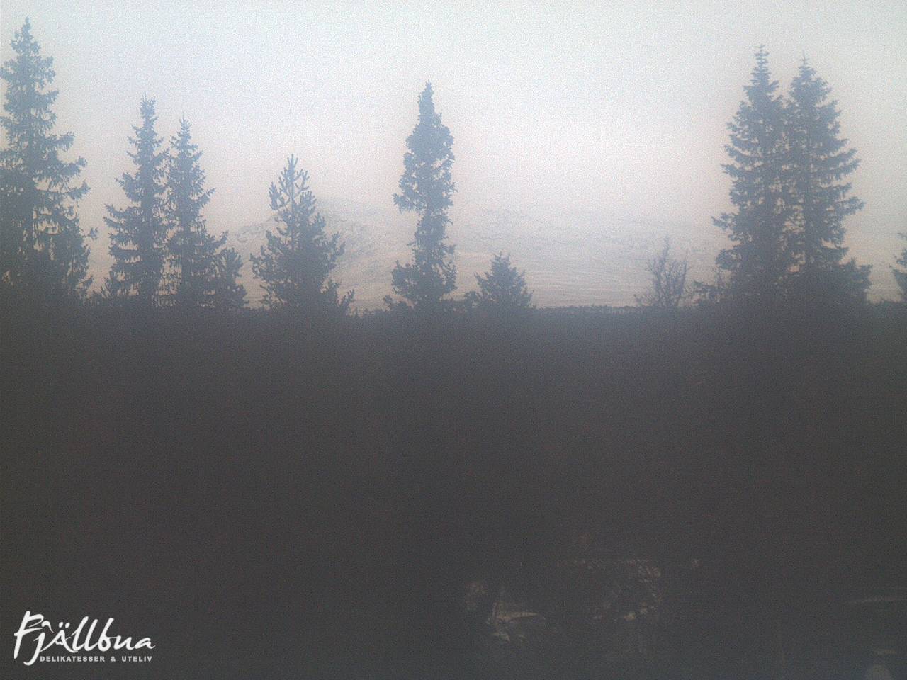 Fjällbua webcam 2024-11-19 15:30