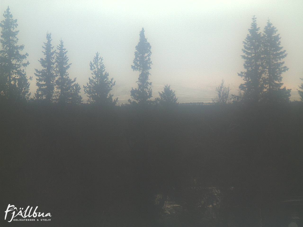 Fjällbua webcam 2024-11-20 09:30