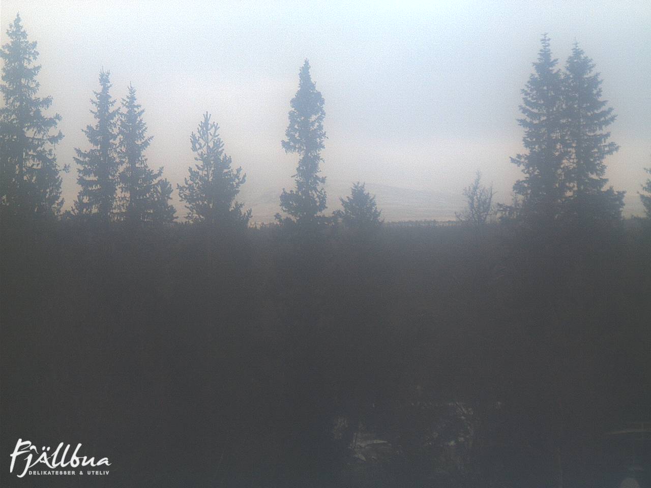 Fjällbua webcam 2024-11-20 11:30