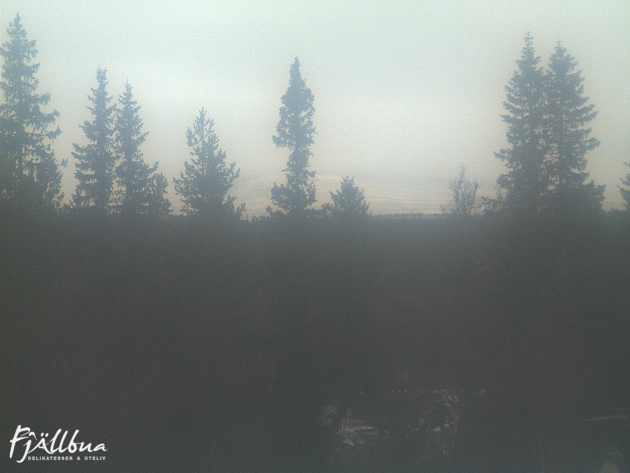 Fjällbua webcam 2024-11-20 15:00