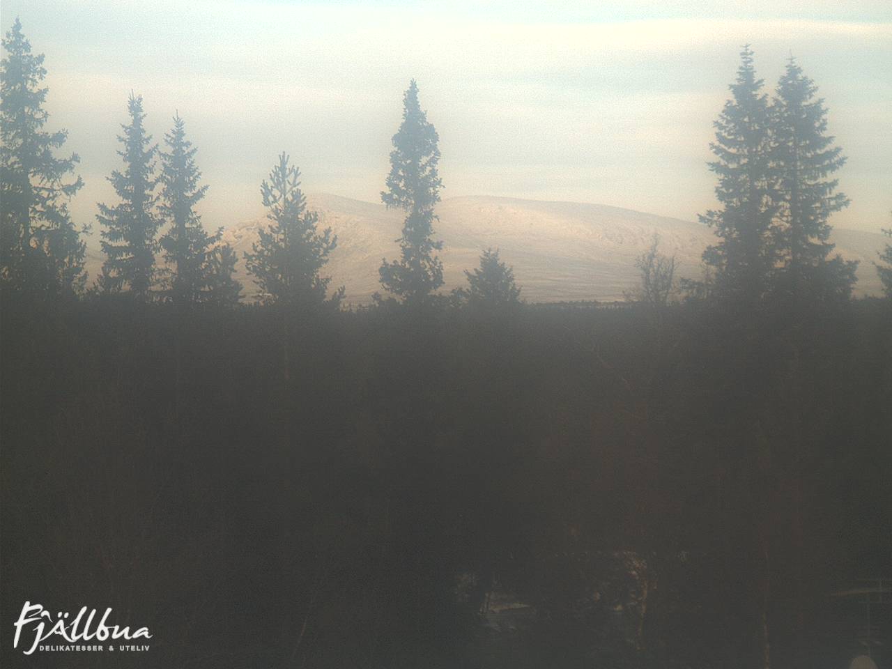 Fjällbua webcam 2024-11-21 11:00