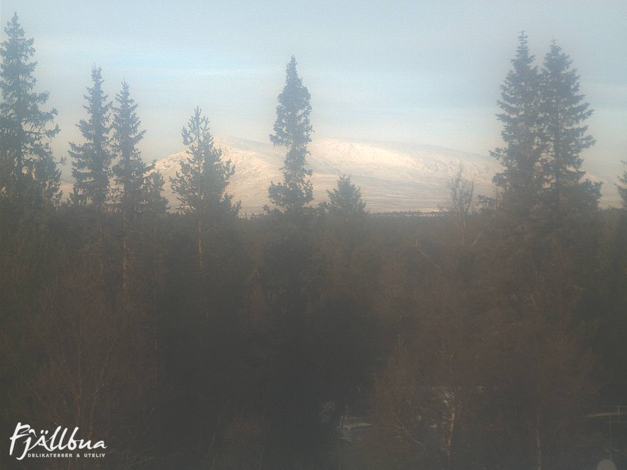 Fjällbua webcam 2024-11-21 11:30