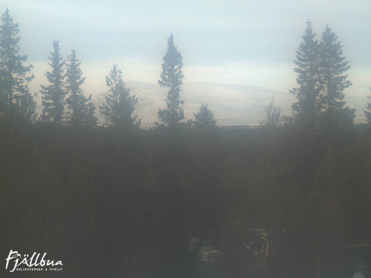 Fjällbua webcam 2024-11-21 12:00