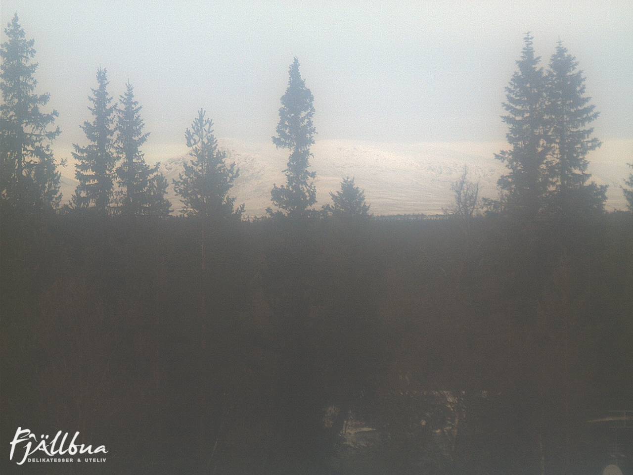 Fjällbua webcam 2024-11-21 13:00