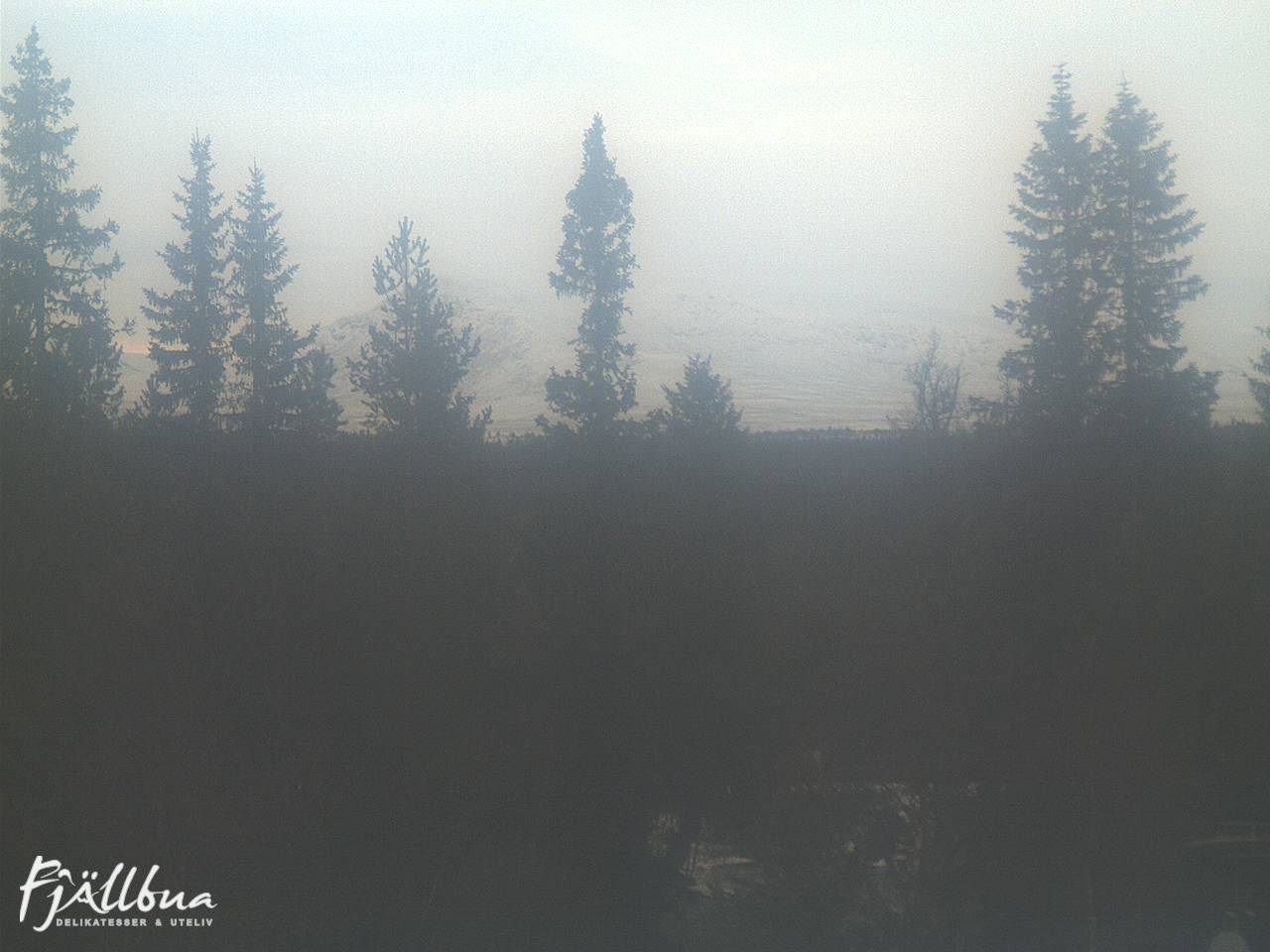 Fjällbua webcam 2024-11-21 14:00