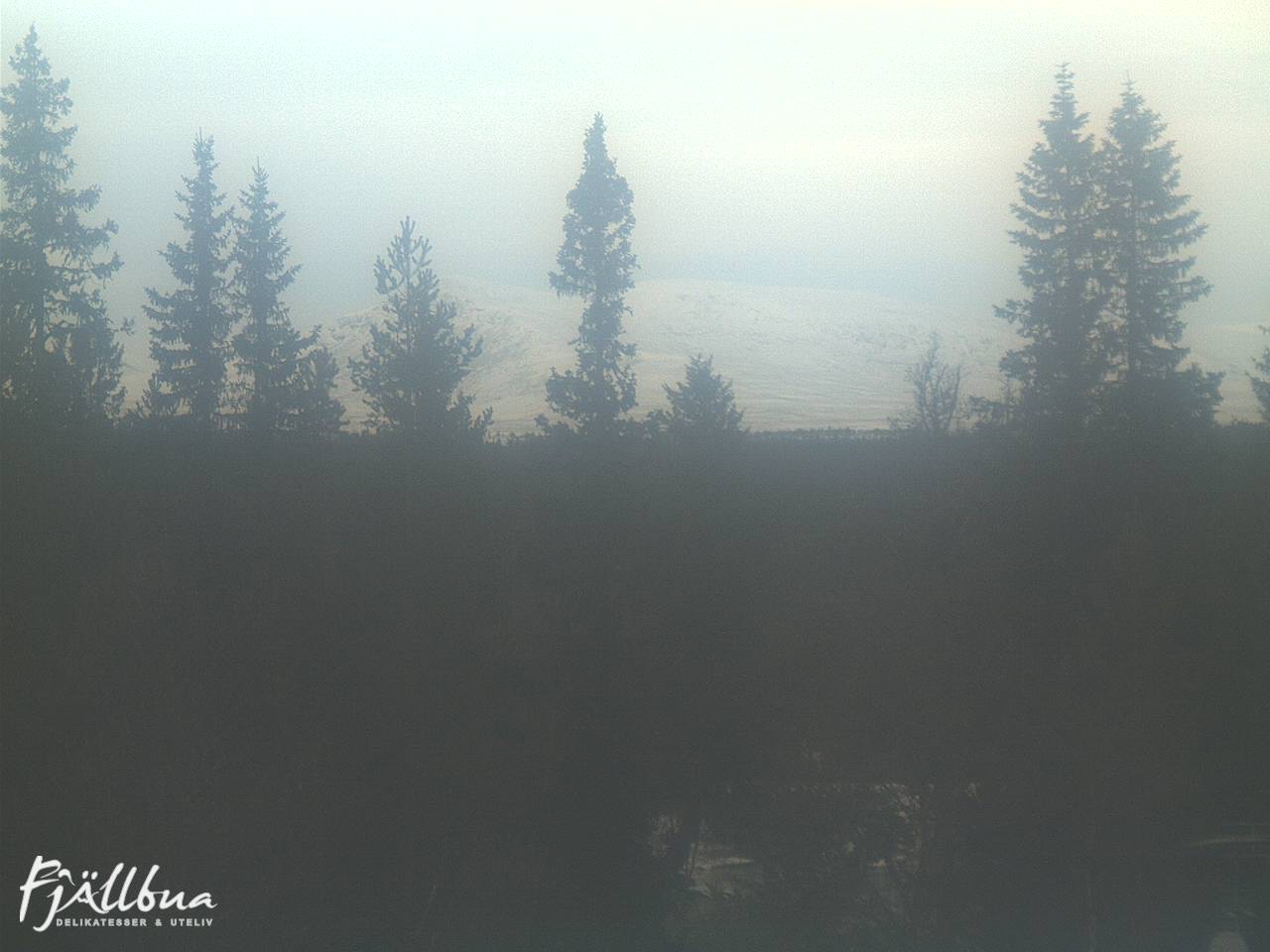 Fjällbua webcam 2024-11-21 14:30