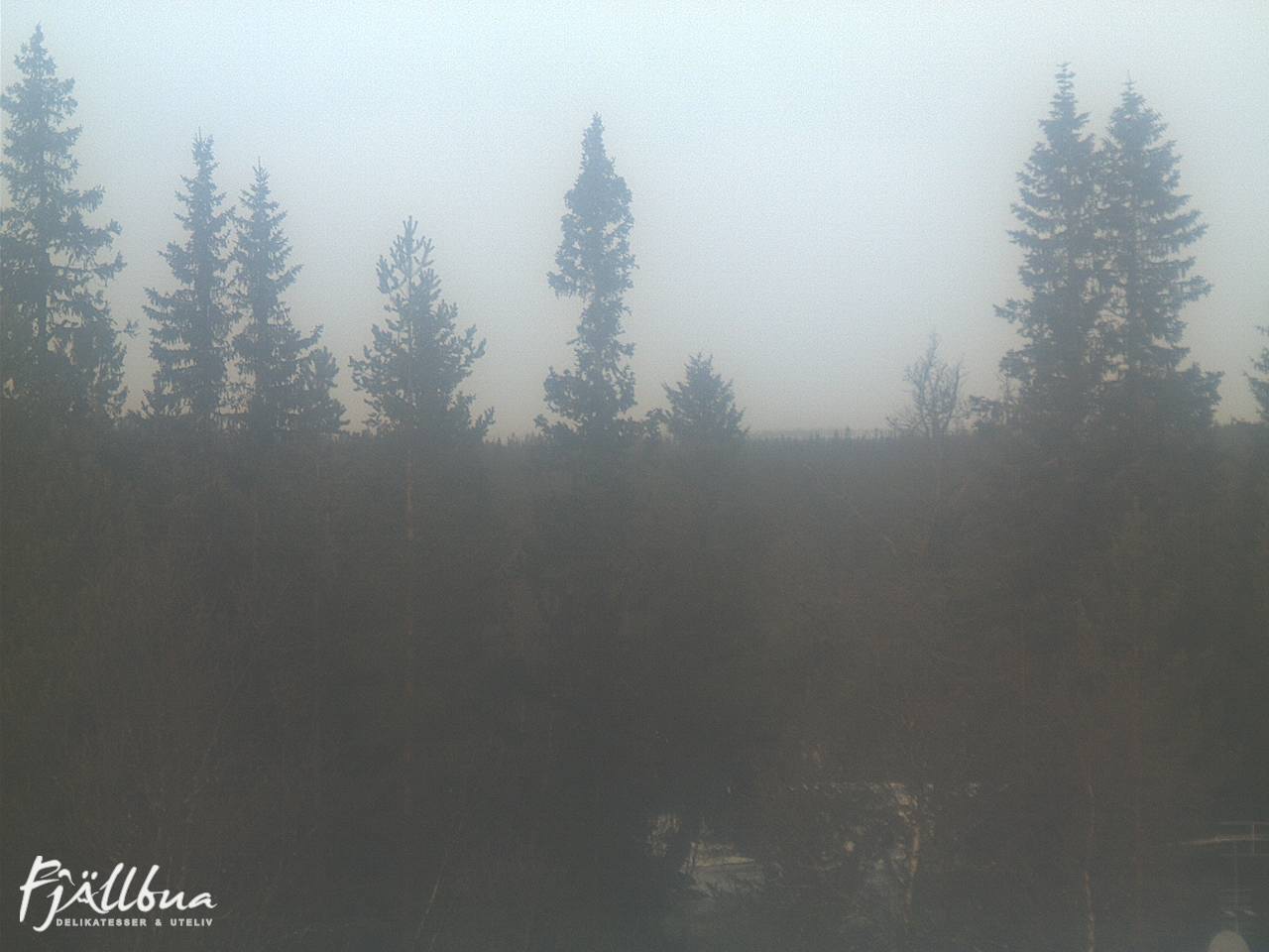 Fjällbua webcam 2024-11-22 10:30