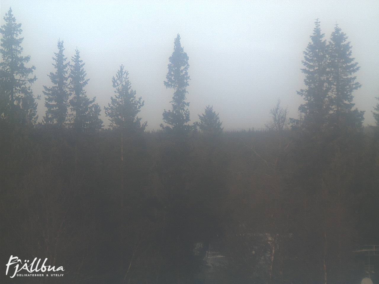 Fjällbua webcam 2024-11-22 11:00