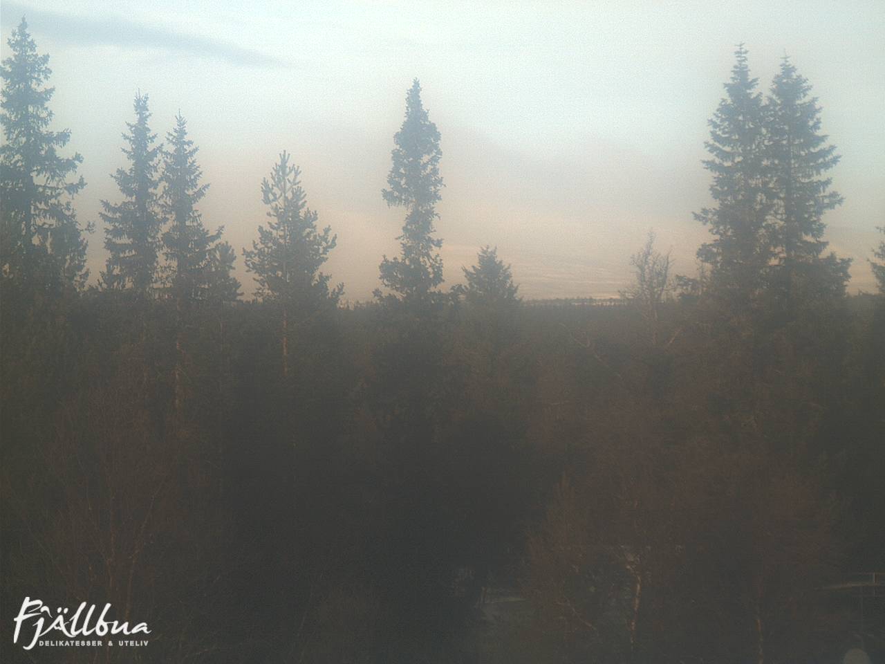 Fjällbua webcam 2024-11-22 11:30